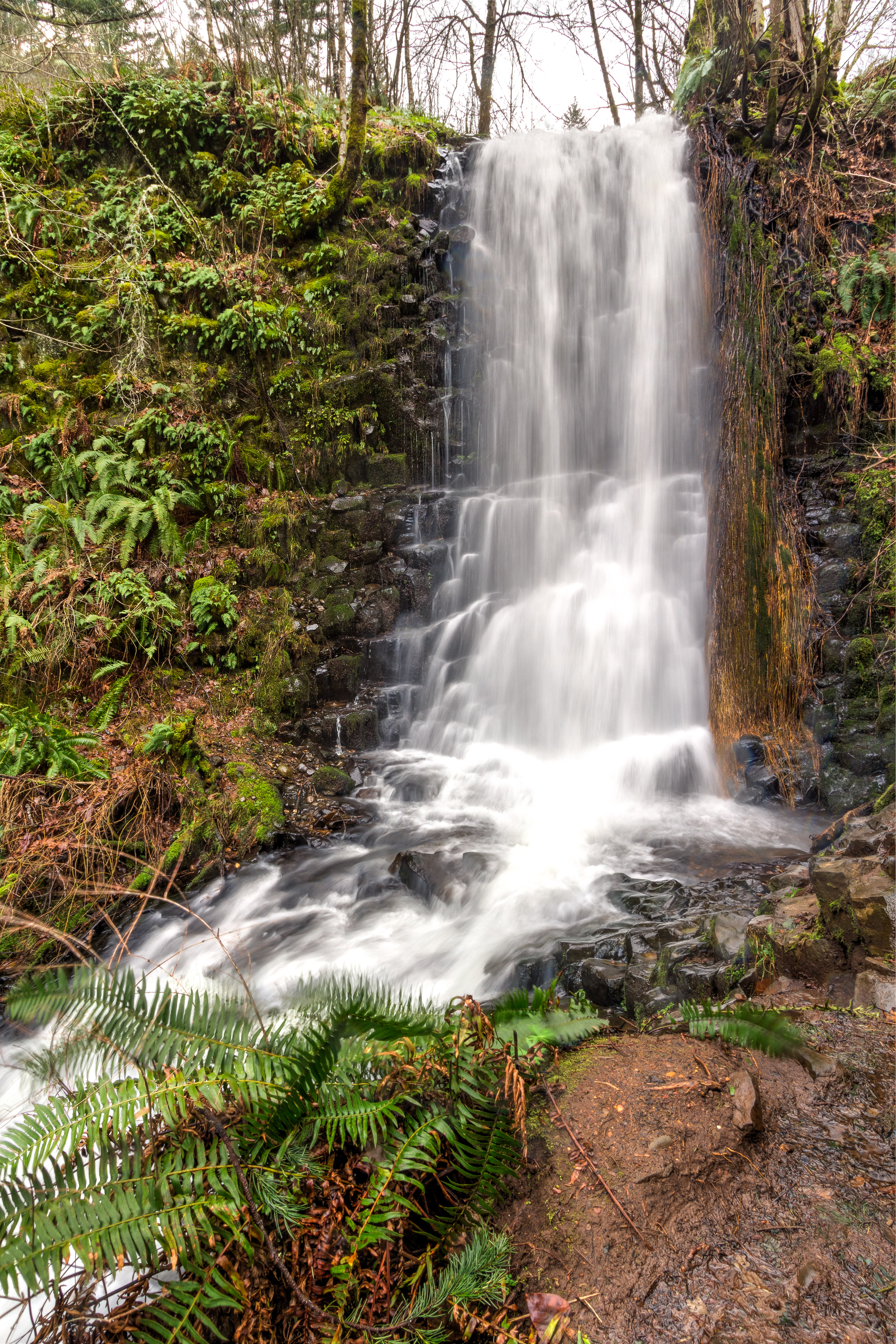 Devil's Rest-Wahkeena Falls Loop