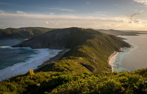 Hike the Bald Head Walk Trail