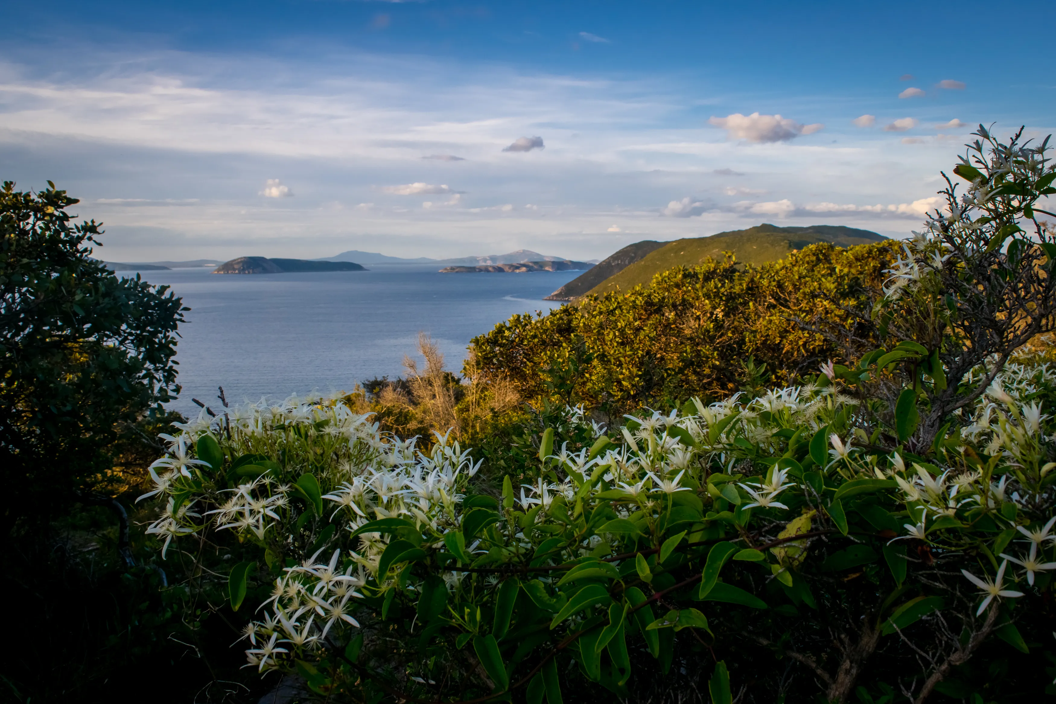 Hike the Bald Head Walk Trail