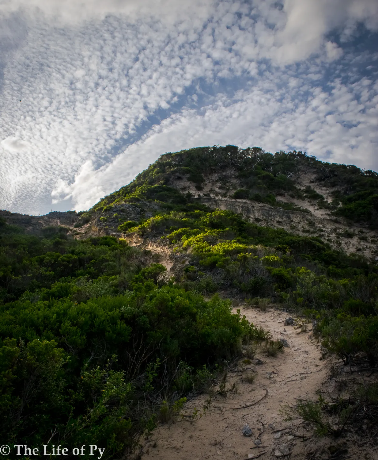 Hike the Bald Head Walk Trail