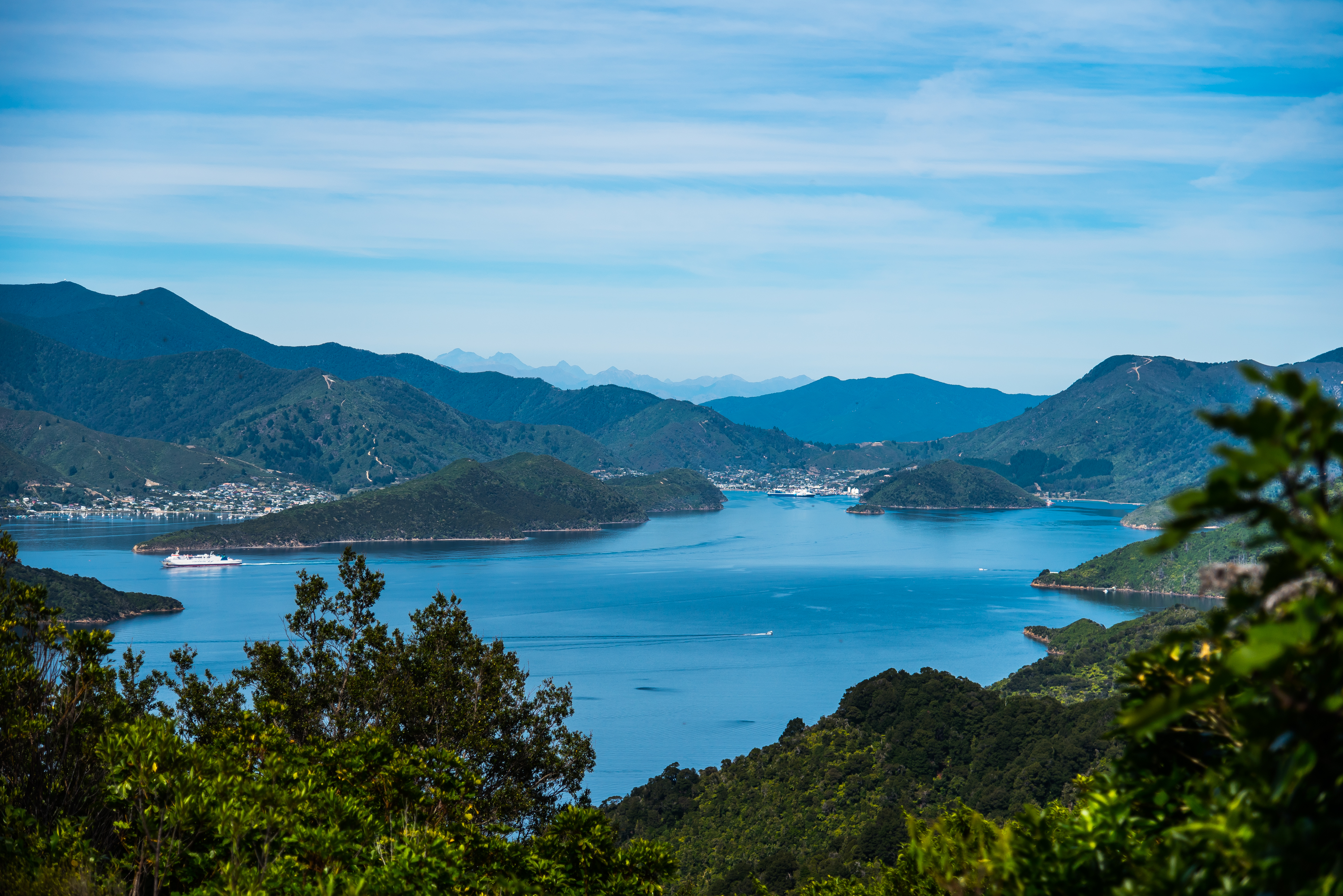 Mountain Bike Punga Cove to Anakiwa