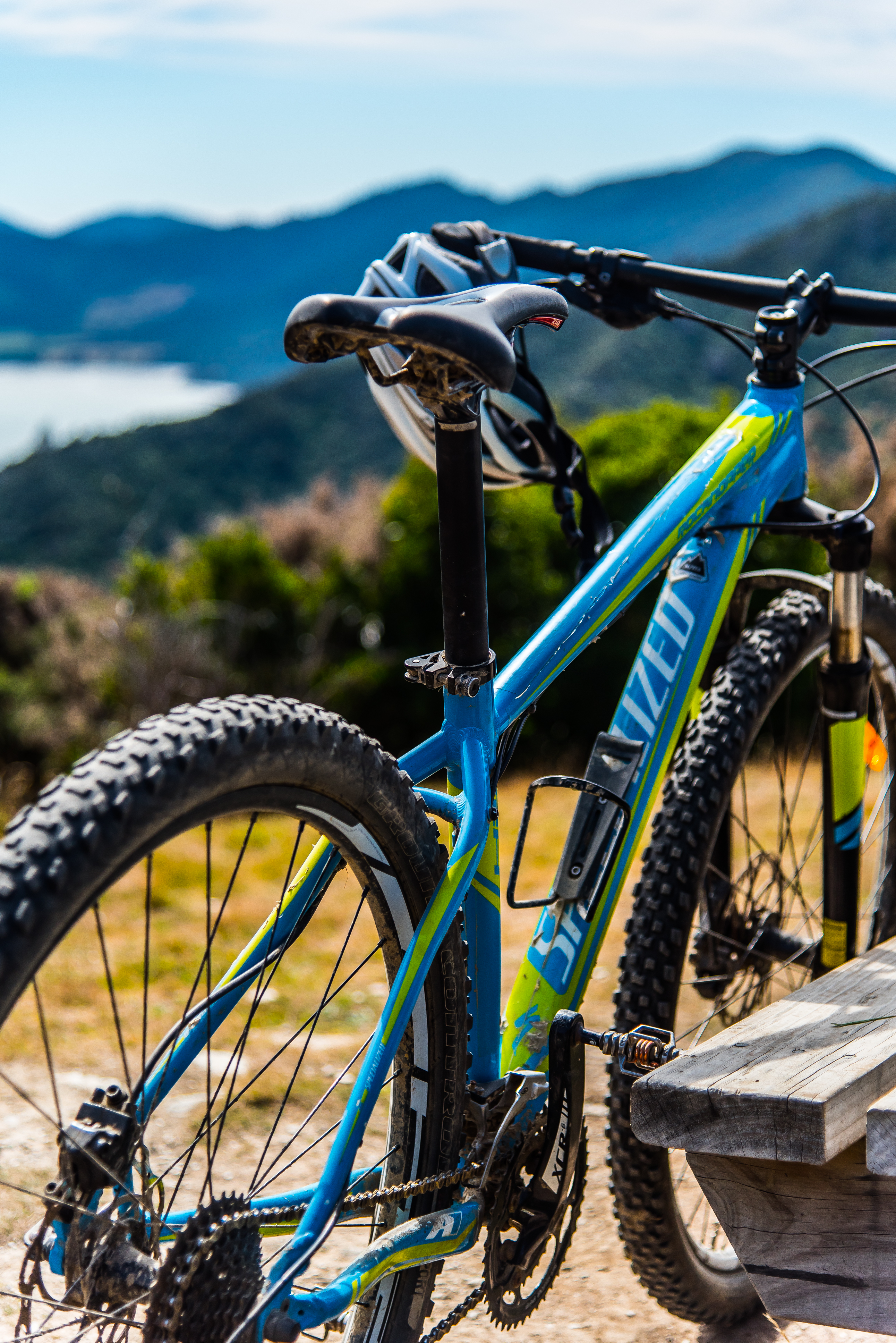 Mountain Bike Punga Cove to Anakiwa
