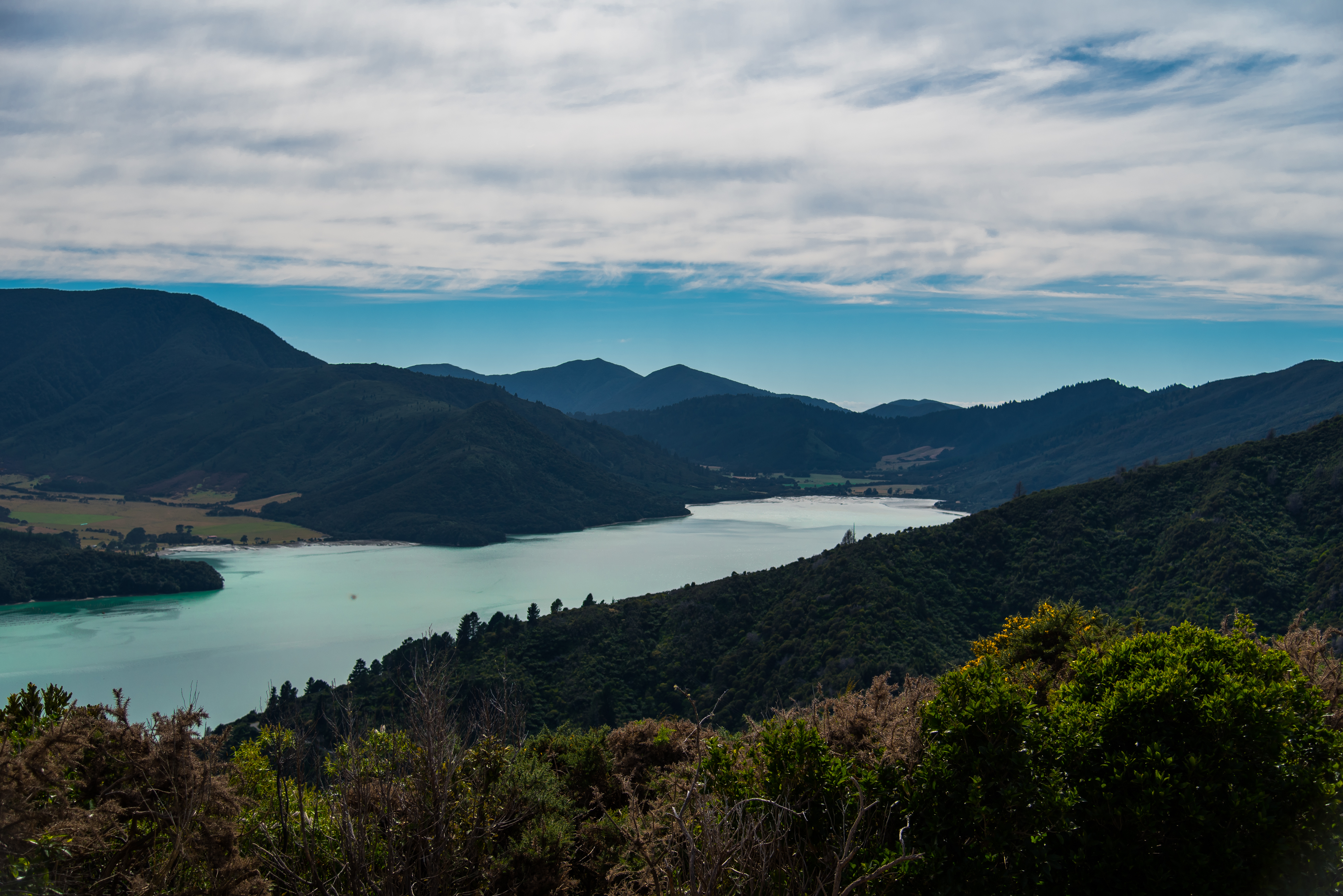 Mountain Bike Punga Cove to Anakiwa