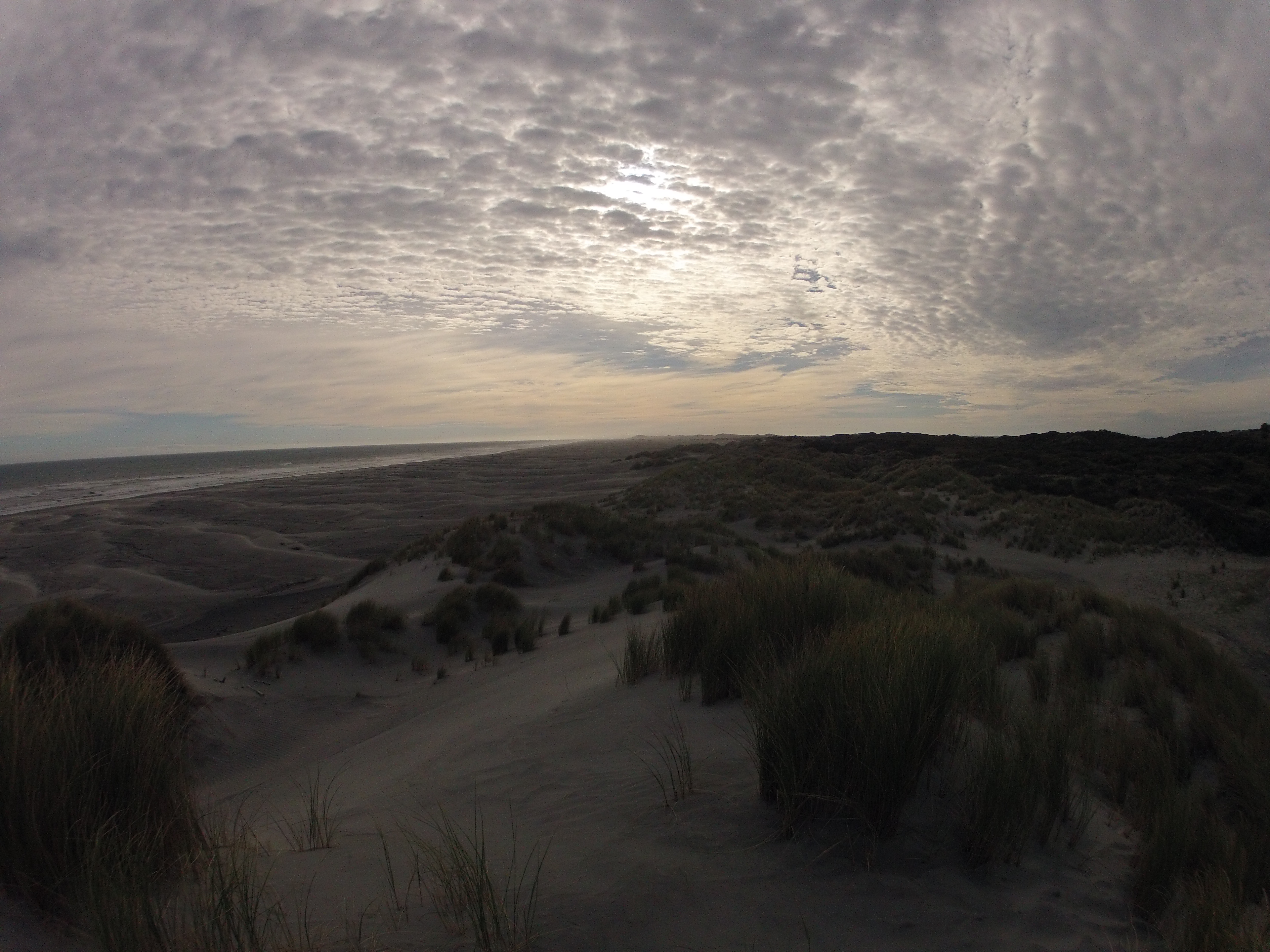 Hike the Beaches of Farewell Spit