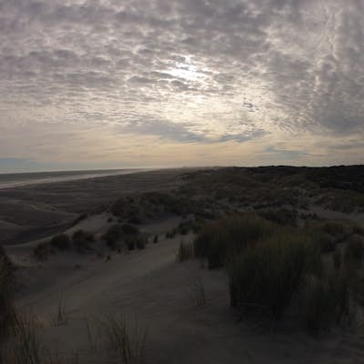 Hike the Beaches of Farewell Spit