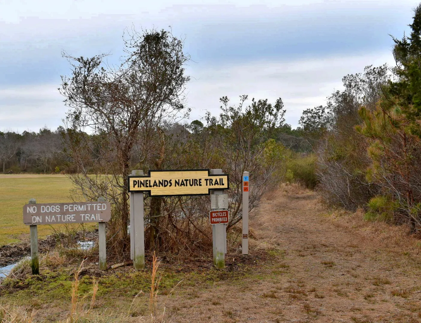 Pinelands Trail