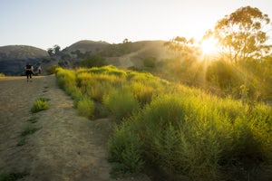 Hike the Hellman Park Trail