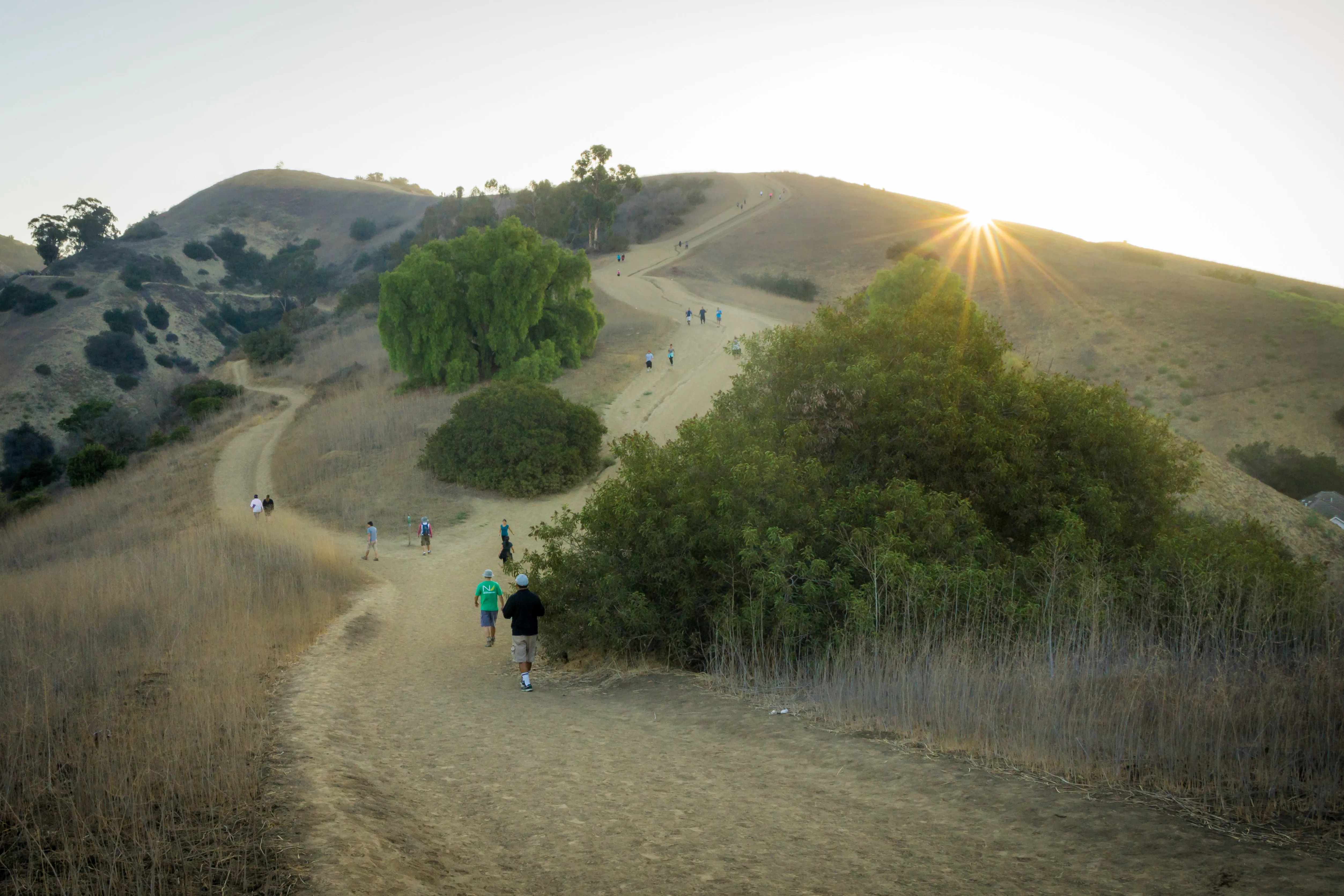 Hellman Park Trail