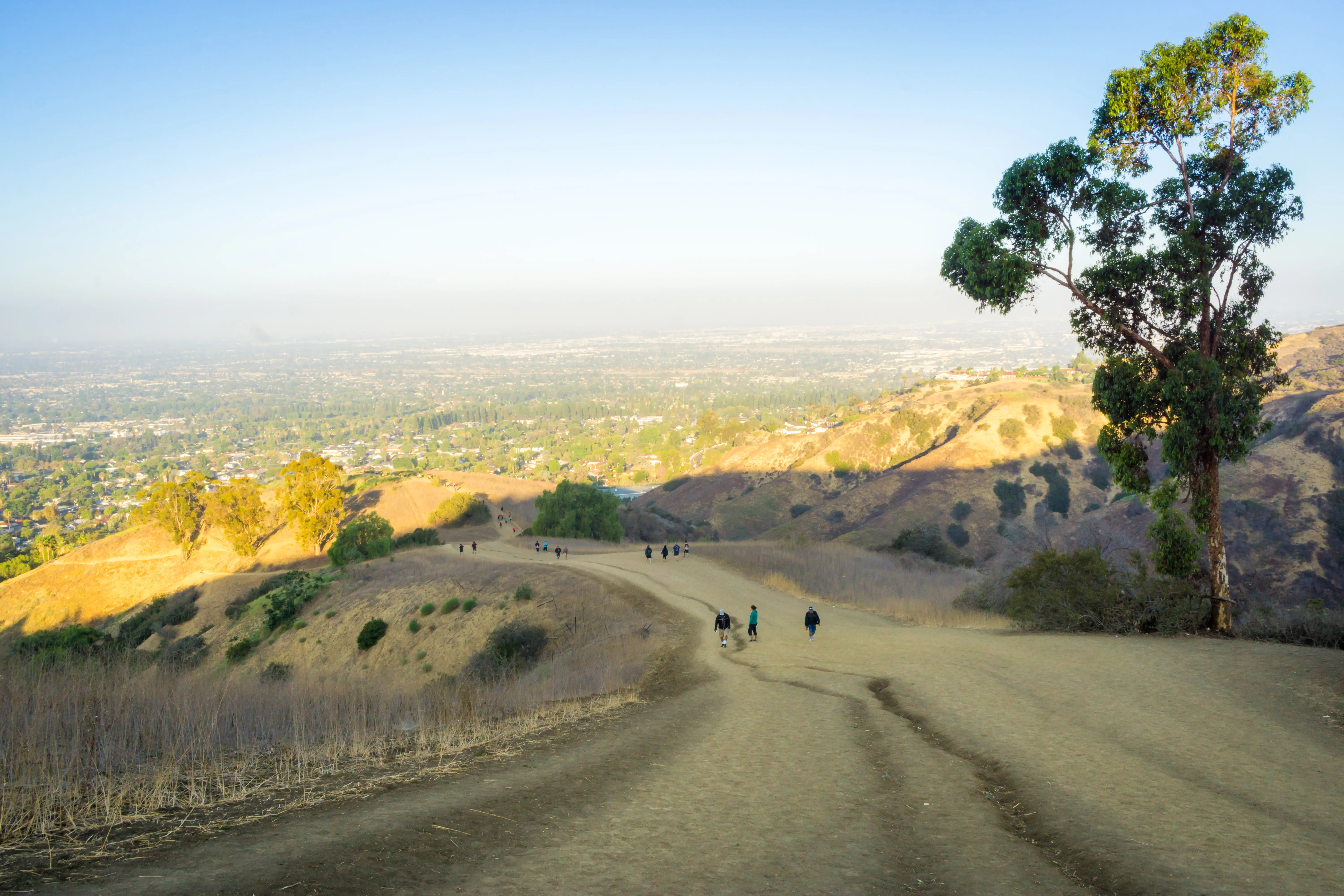 Hellman Park Trail
