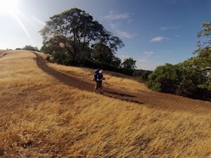 Bald Mountain