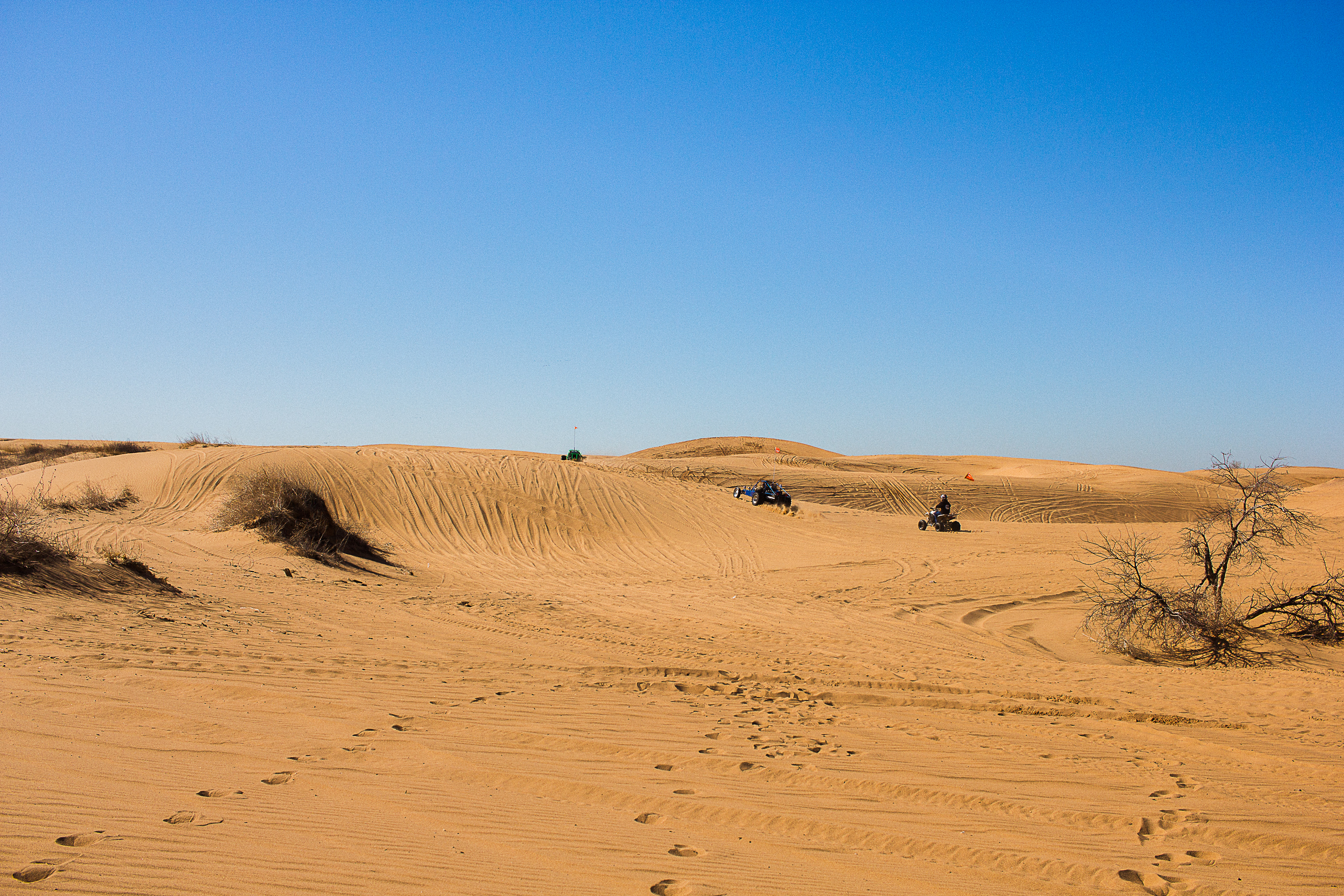 Photograph Little Sahara State Park, Waynoka, Oklahoma