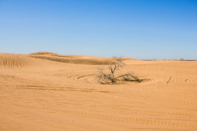 Photograph Little Sahara State Park