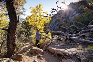 Doctor's Orders: Get Outside