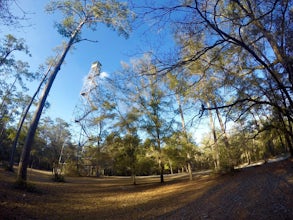 Camp at Honey Hill