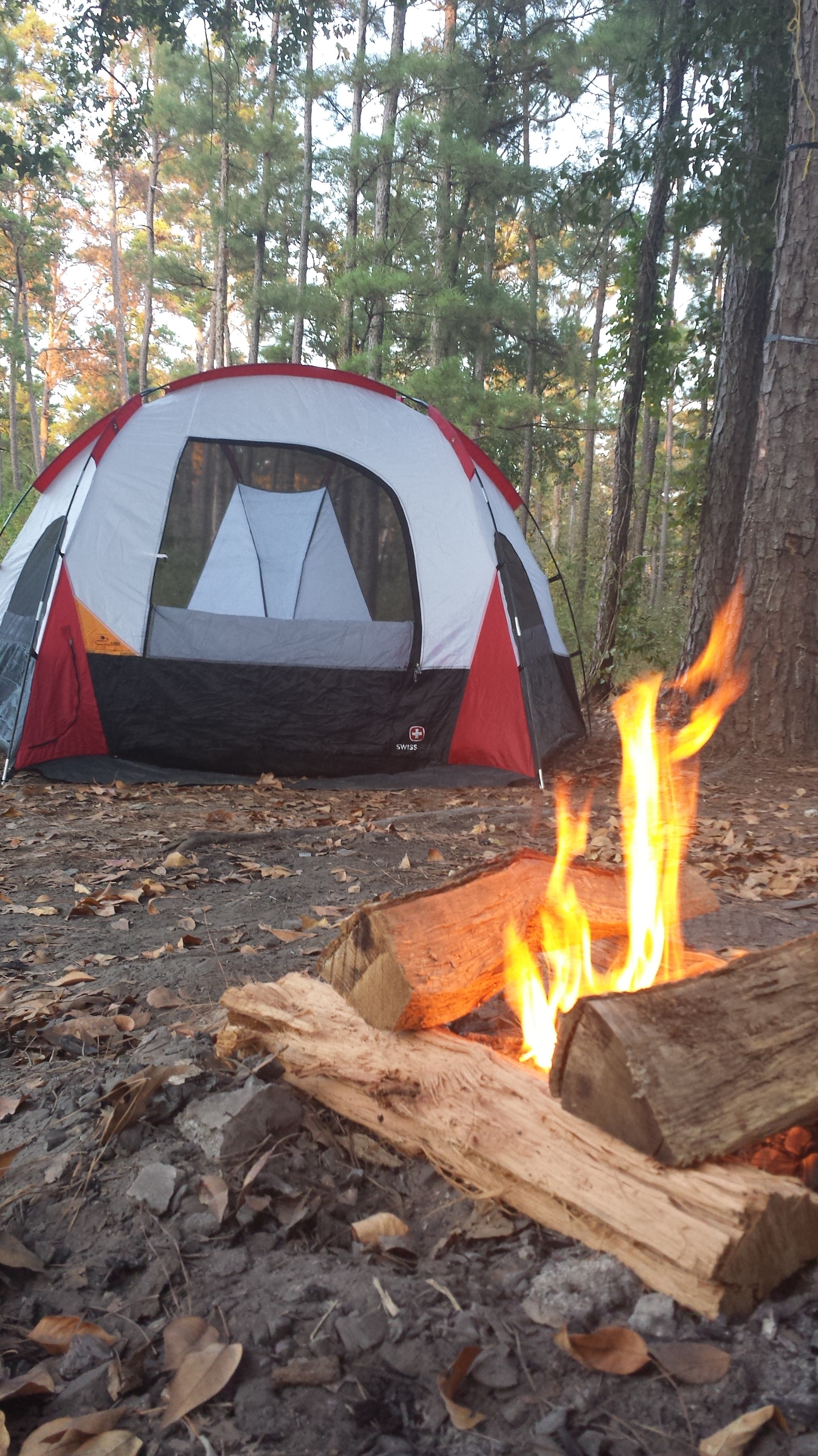 Camp at Kelly's Pond, Sam Houston National Forest