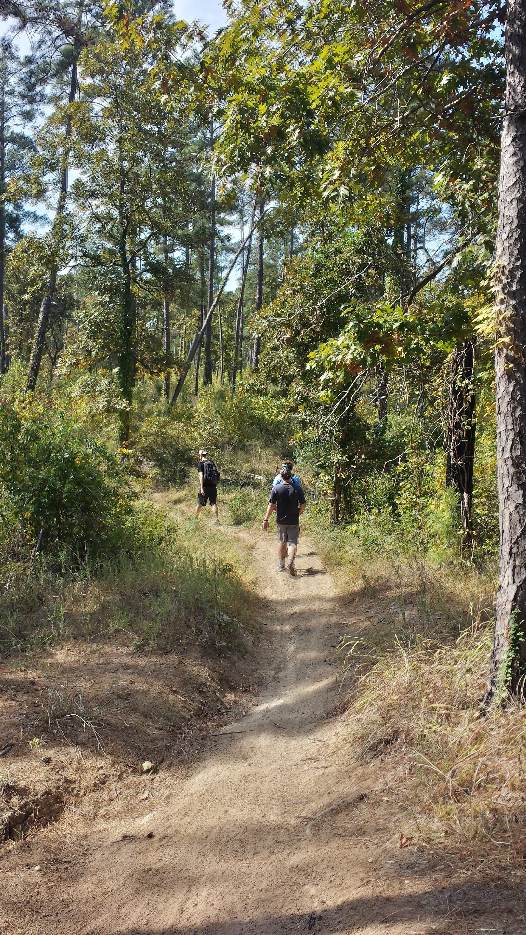 Camp at Kelly's Pond, Sam Houston National Forest