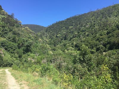 Brooke Waimarama Sanctuary hikes