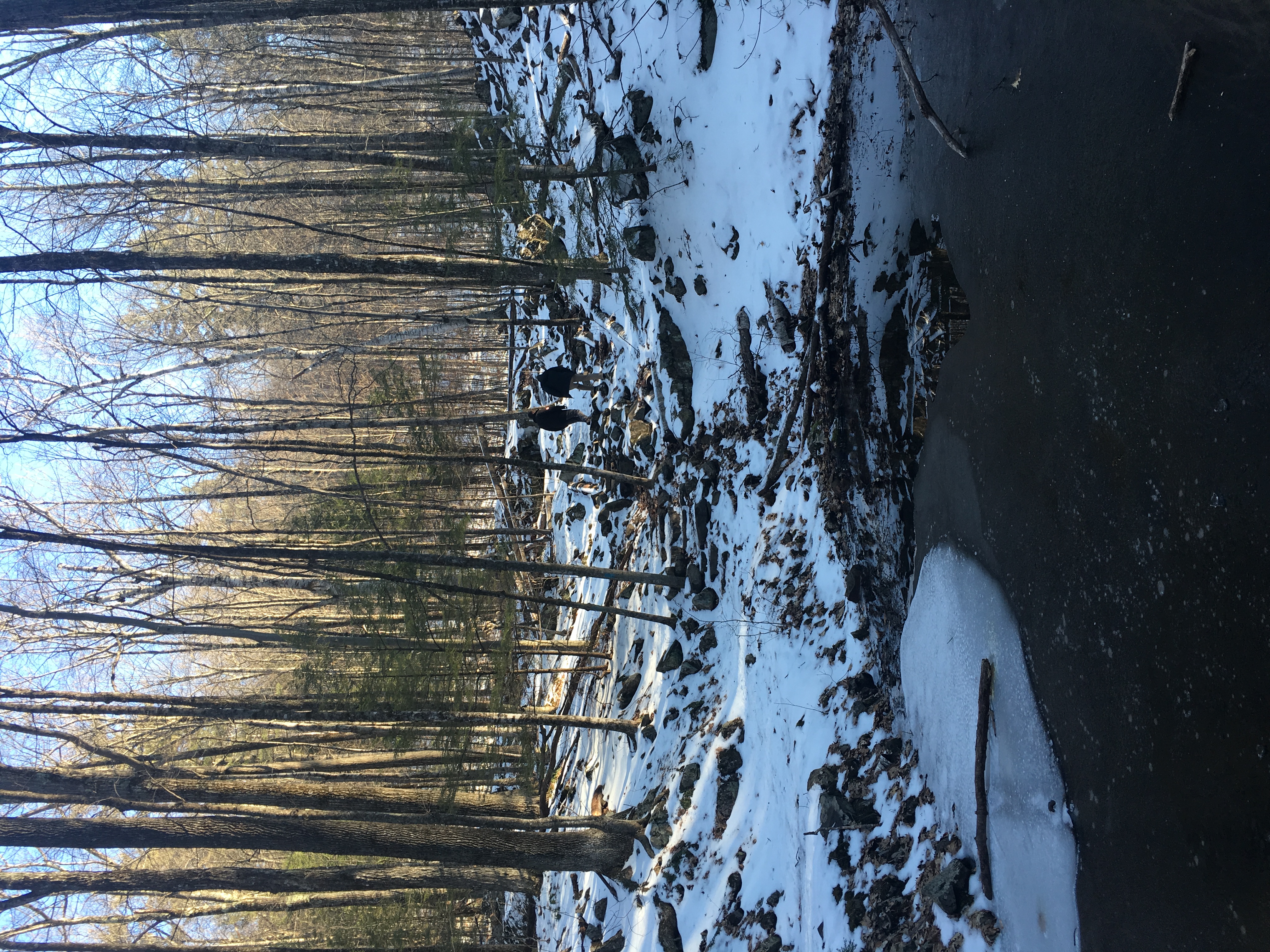 Hike the Lockes Hill Trail, Gilford, New Hampshire