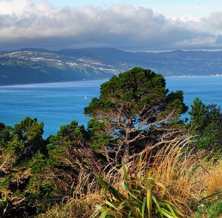 Hike to the Mount Victoria Lookout