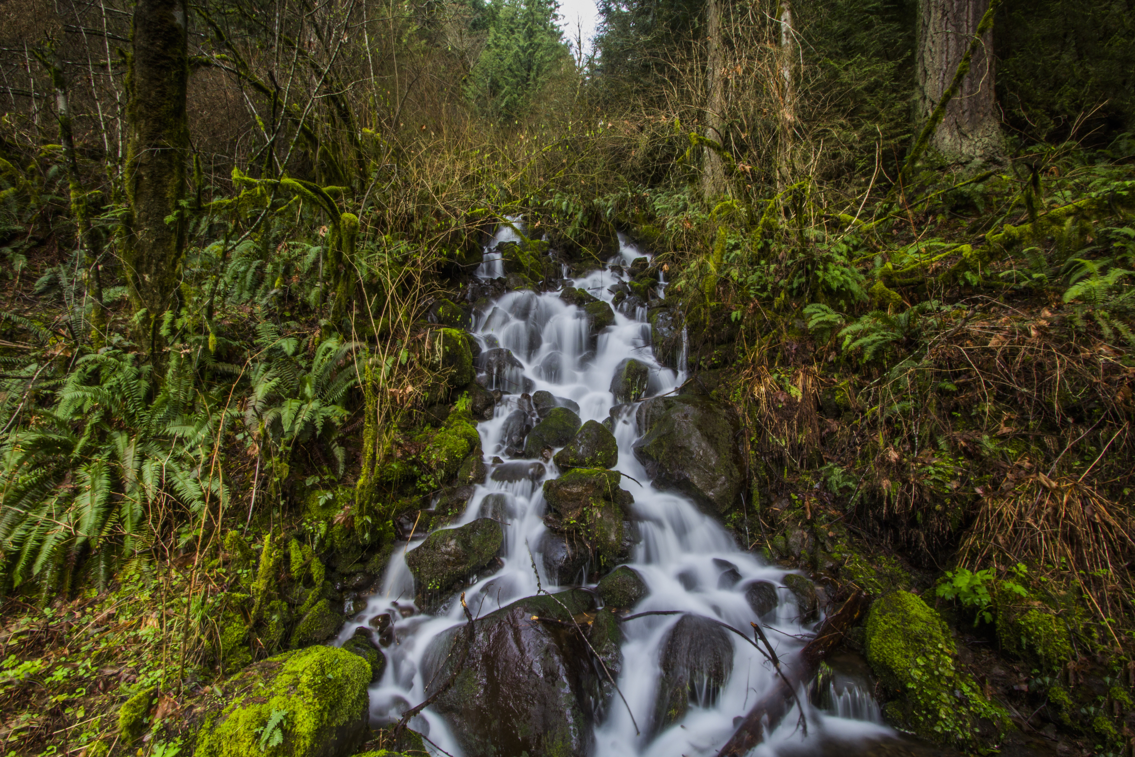 Hike to Upper Bridal Veil Falls