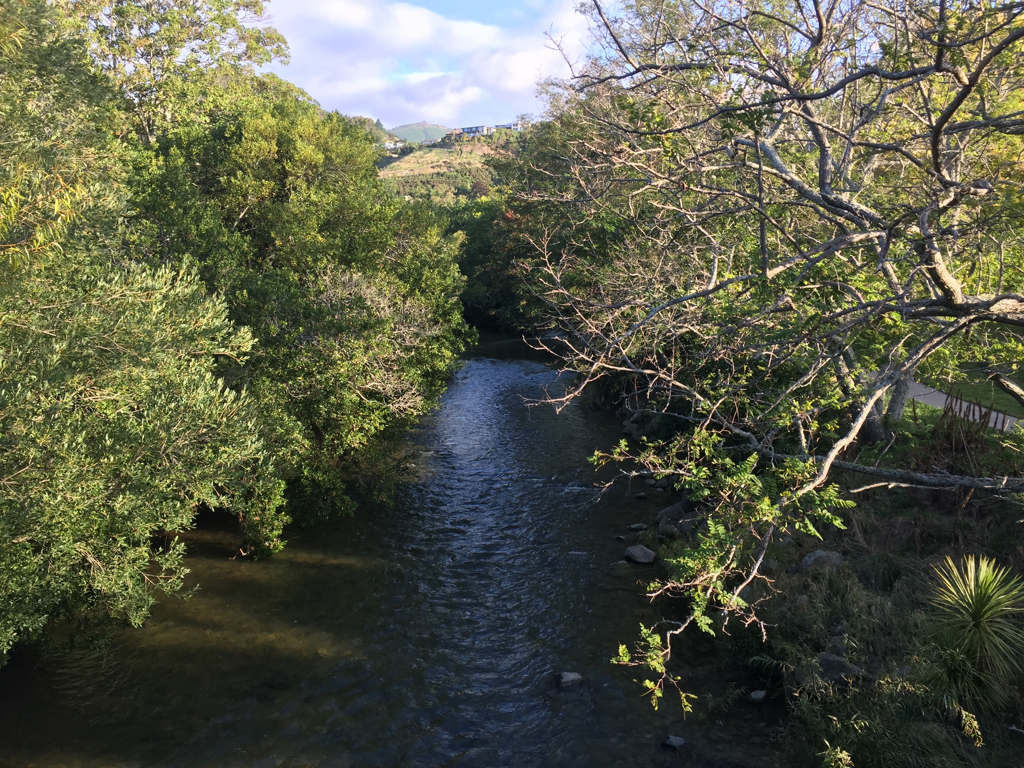 Hike up Botanical Hill