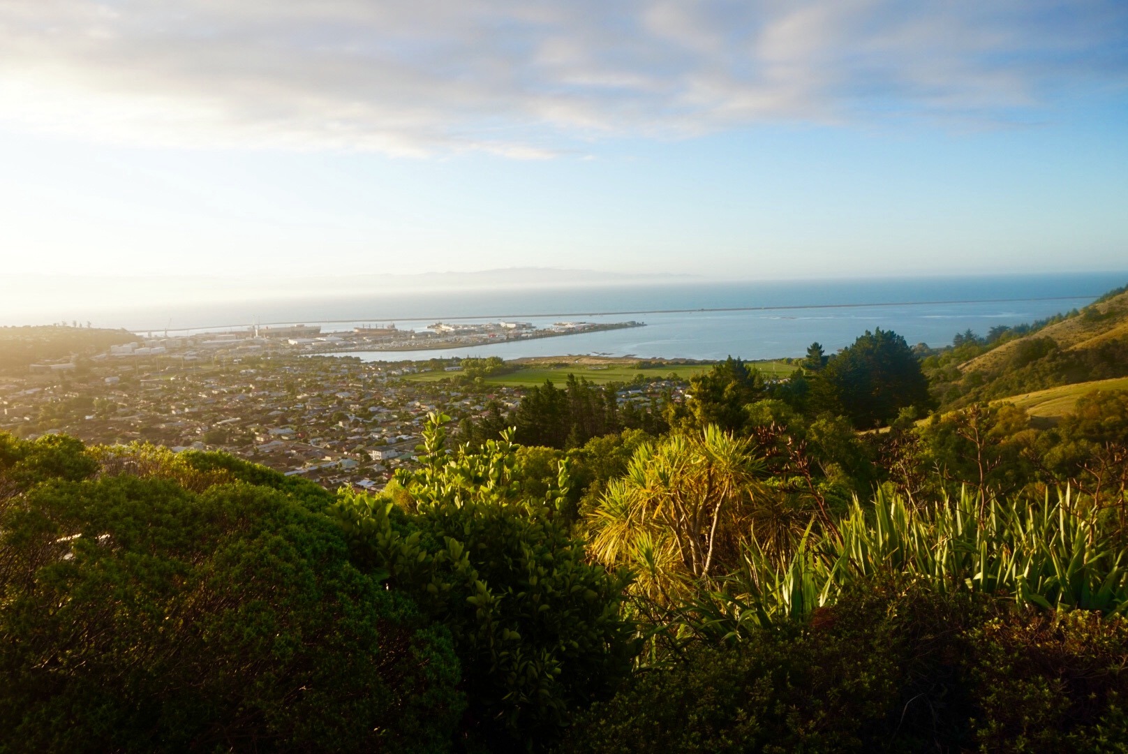 Hike up Botanical Hill