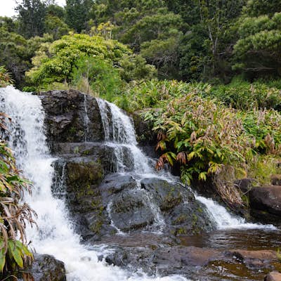 Hike the Canyon Trail to Waipo'o Falls