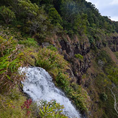 Hike the Canyon Trail to Waipo'o Falls