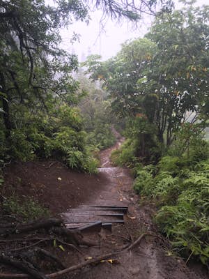Hiking the Kuli'ou'ou Ridge Trail