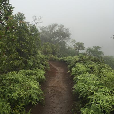 Hiking the Kuli'ou'ou Ridge Trail