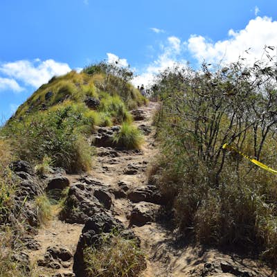 Hiking the Ka'iwa Ridge Trail (aka Lanikai Pillboxes)