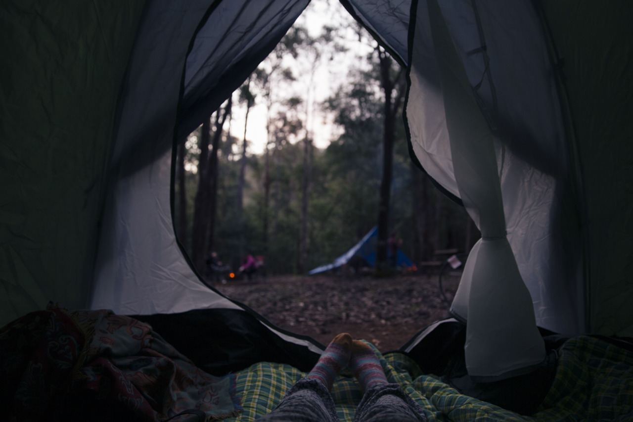 Camp at Cherry Springs State Park