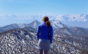 Schulman Grove and Methuselah Grove Loop