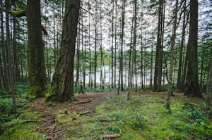 Hike around Thetis Lake