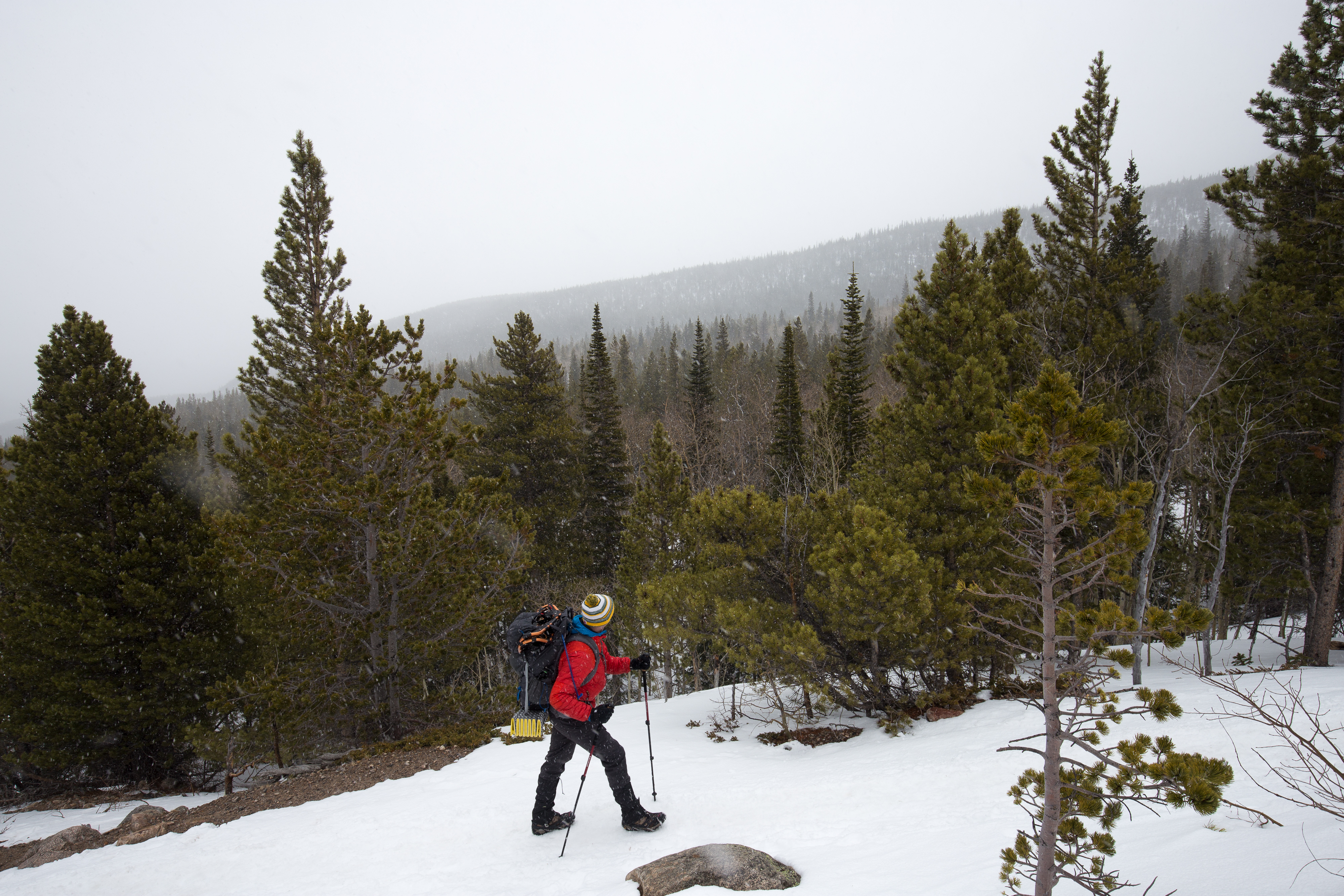 Winter Hike to Loch Vale
