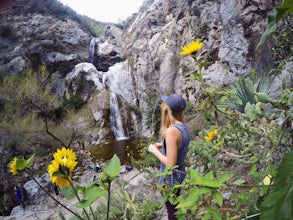 Fish Canyon Falls