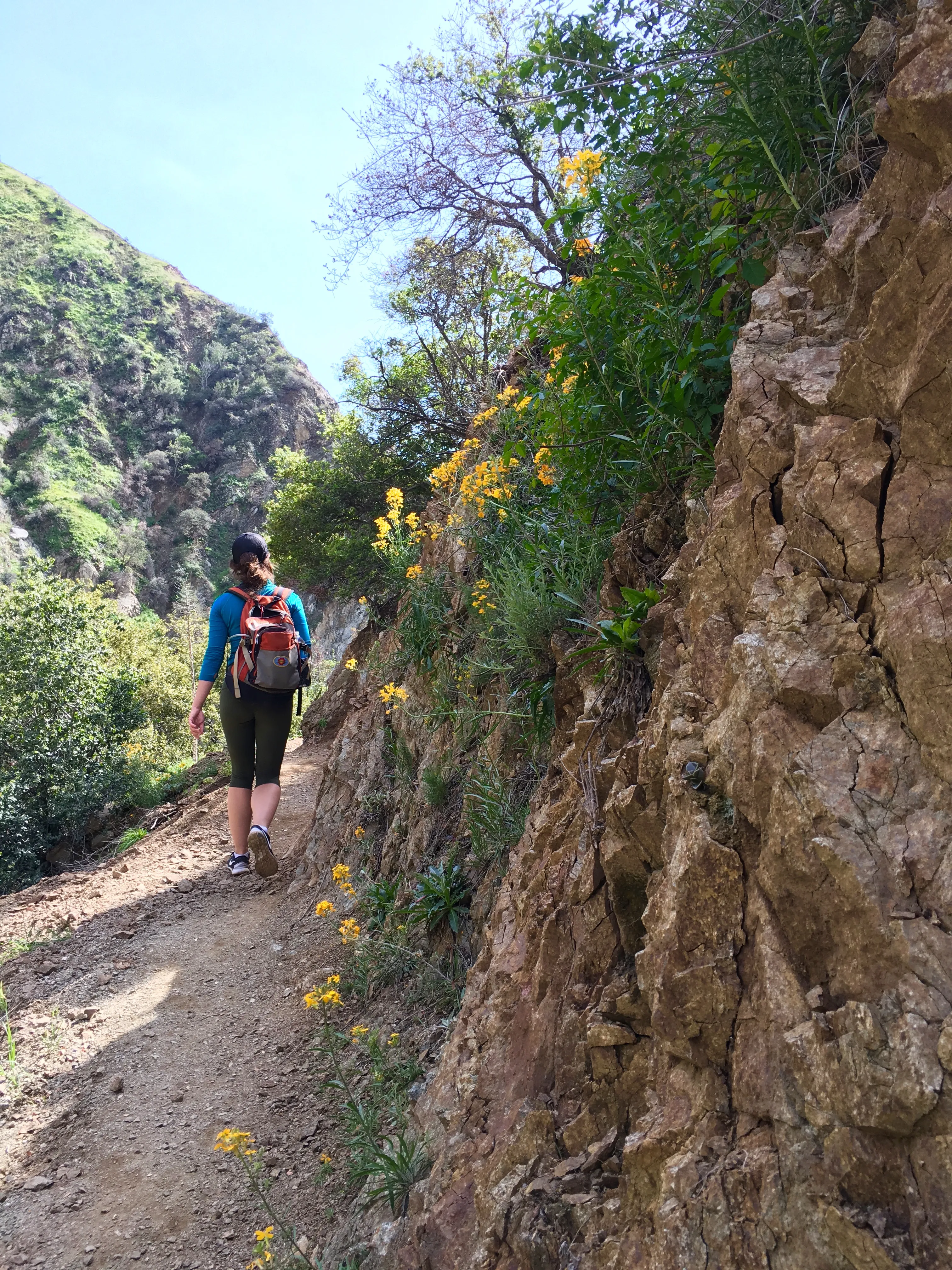 Fish Canyon Falls