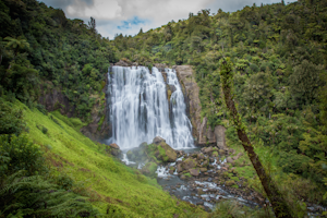 Explore Marokopa Falls