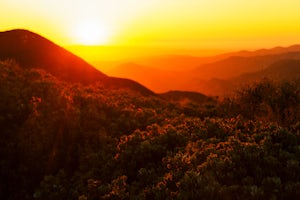 Hike Bear Canyon Trail to Sitton Peak