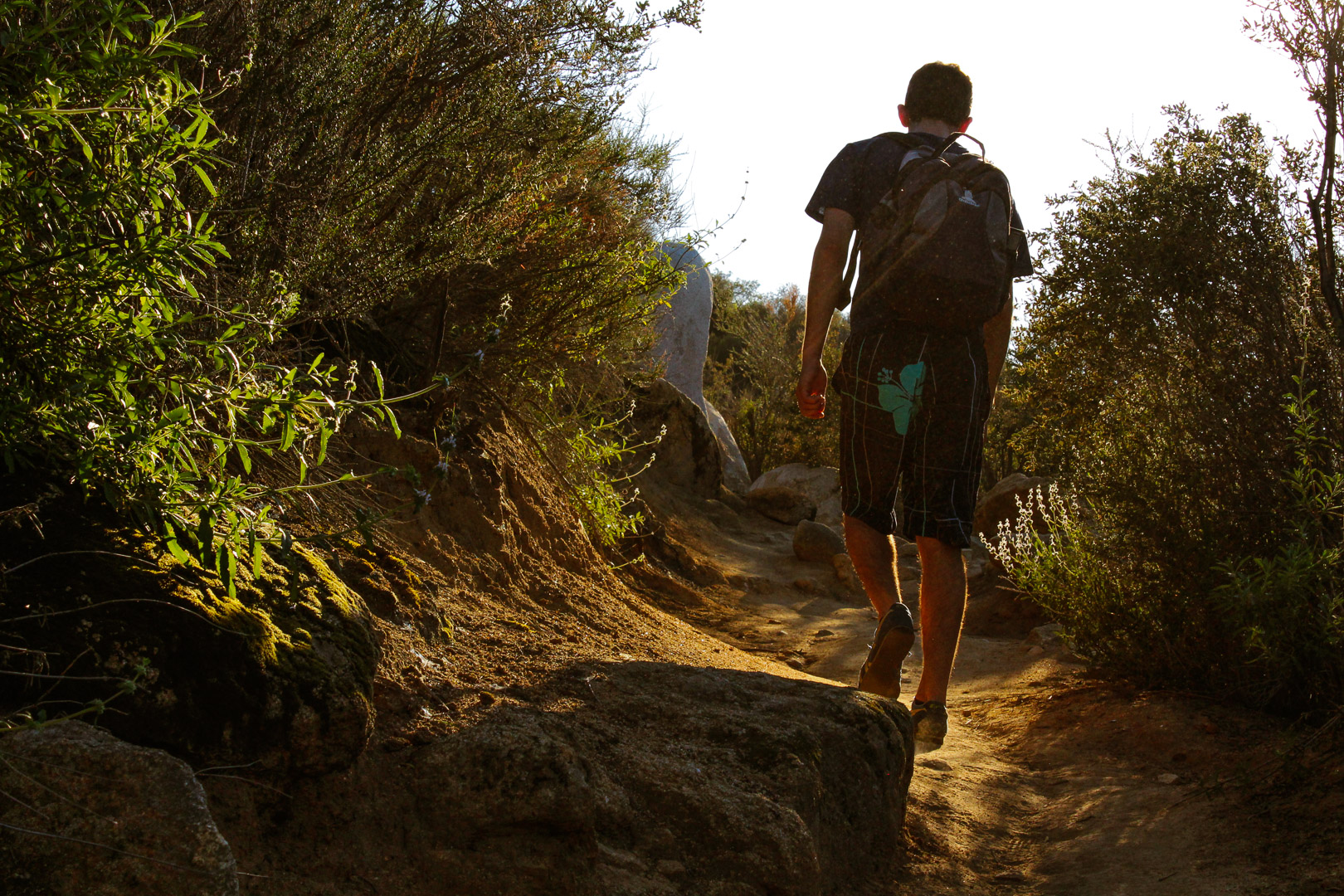 Hike Bear Canyon Trail to Sitton Peak