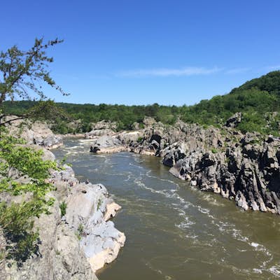 Hike the River Trail in Great Falls Park