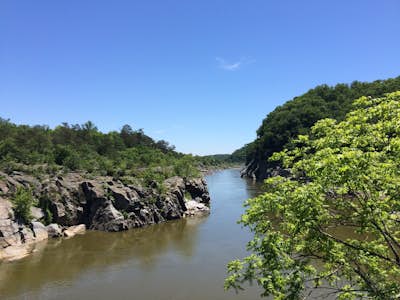 Hike the River Trail in Great Falls Park