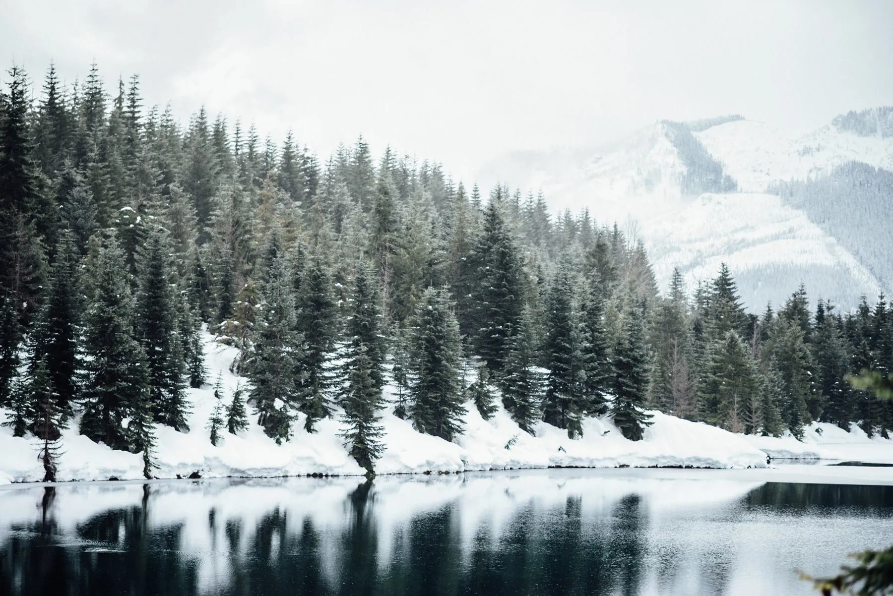 Gold Creek Pond