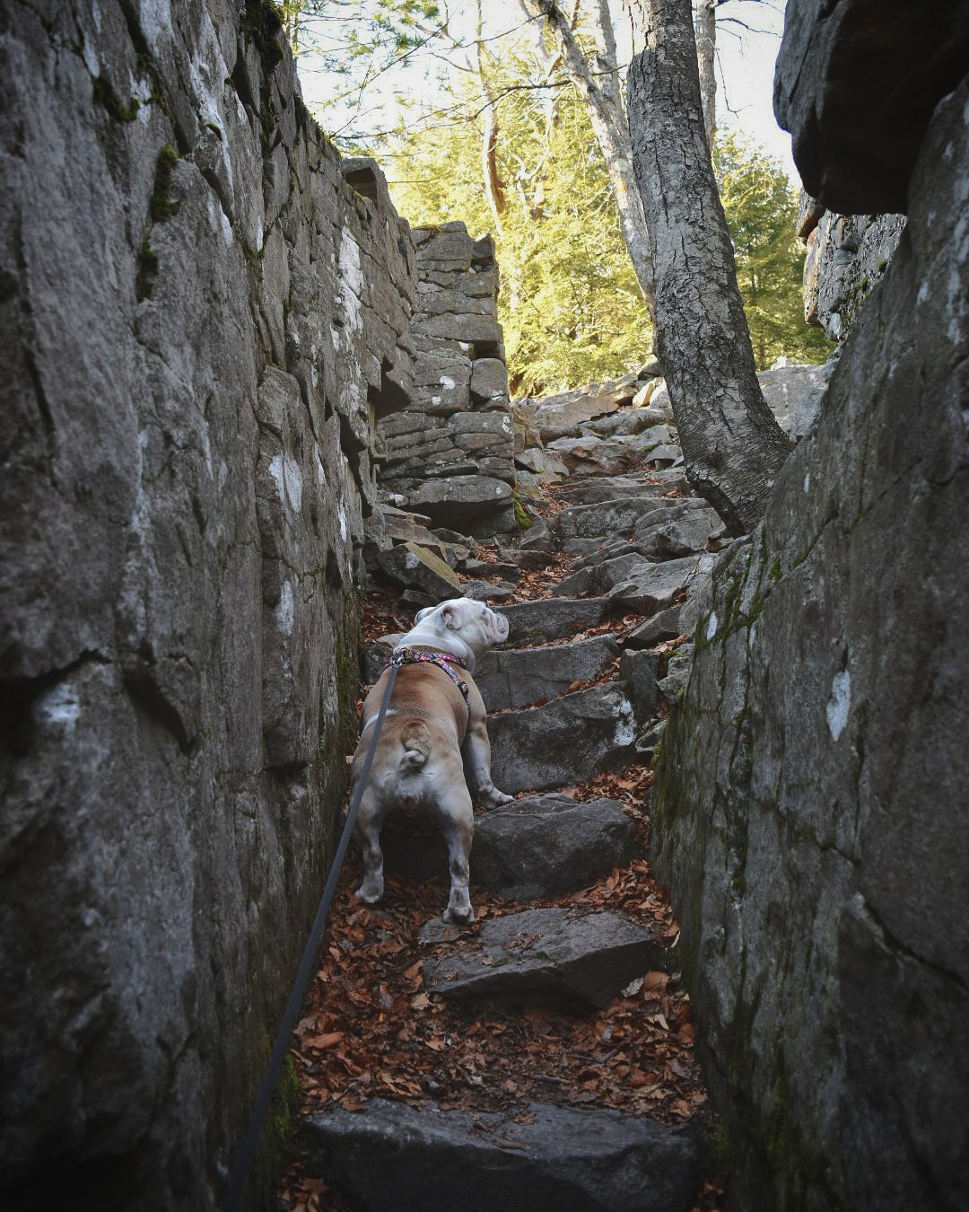 Shades of Death Trail 