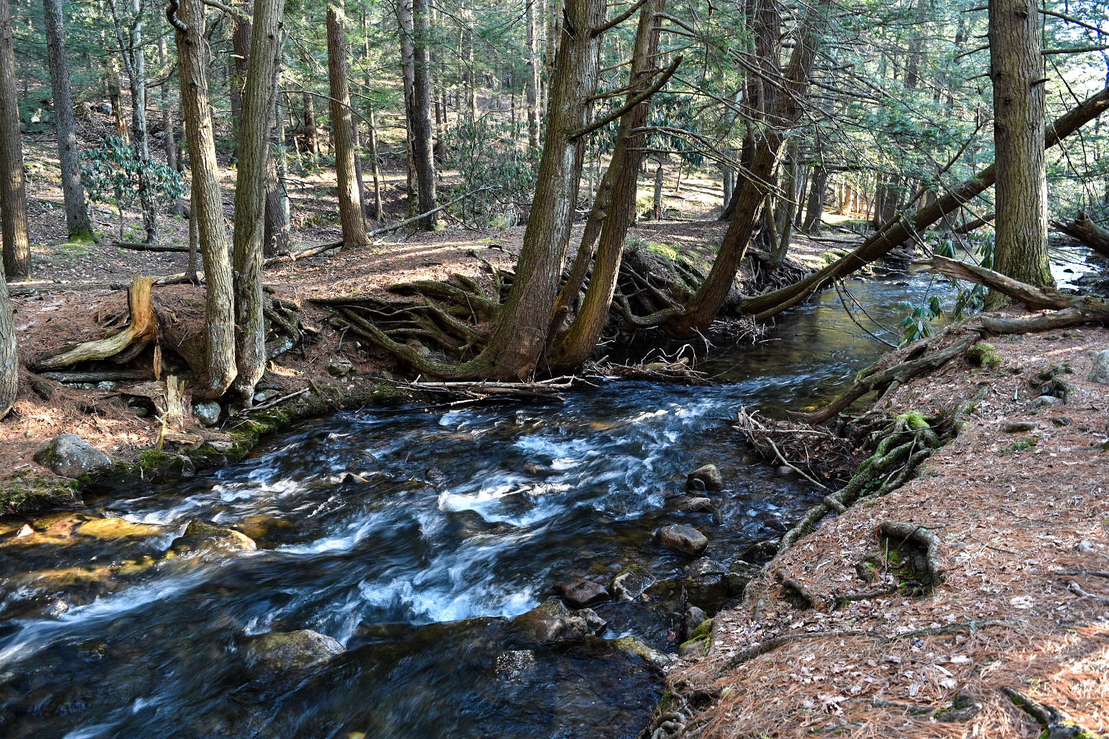 Shades of Death Trail 