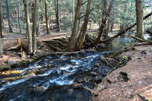 Shades of Death Trail 