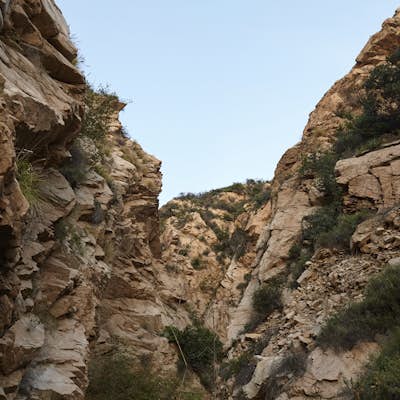 Hike to and Rapel Thalehaha Falls in Rubio Canyon