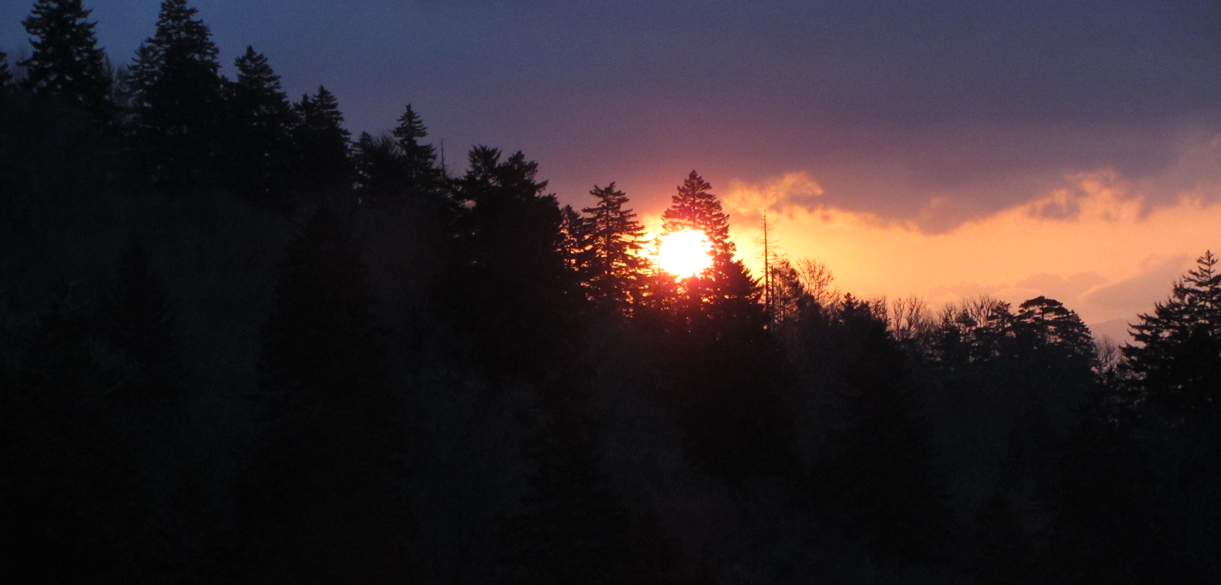 Catch a Sunrise at Newfound Gap