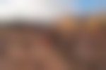 A person sits on the cliffside looking down into the Grand Canyon at the Colorado River