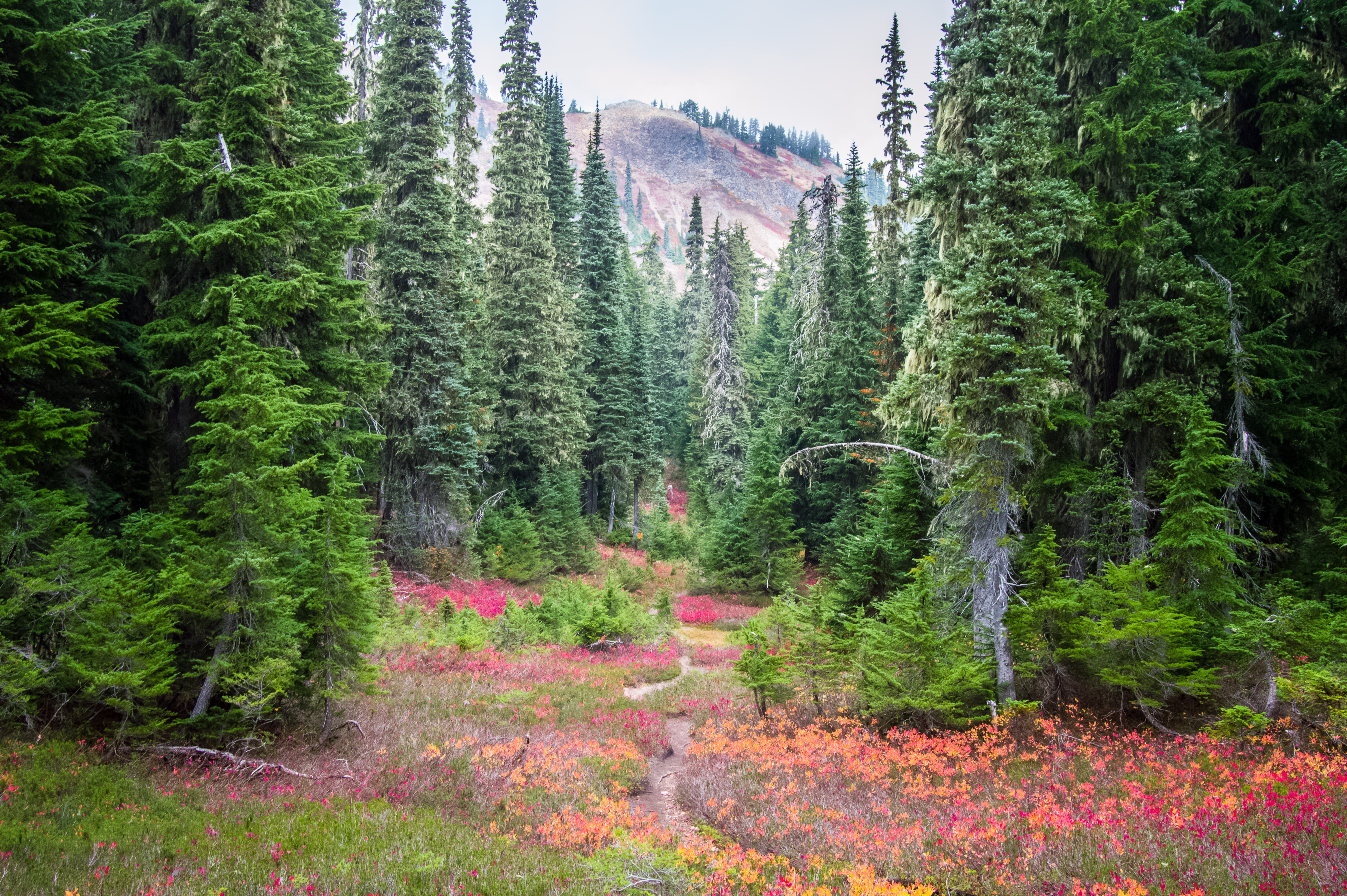 Hike to Margaret Lake